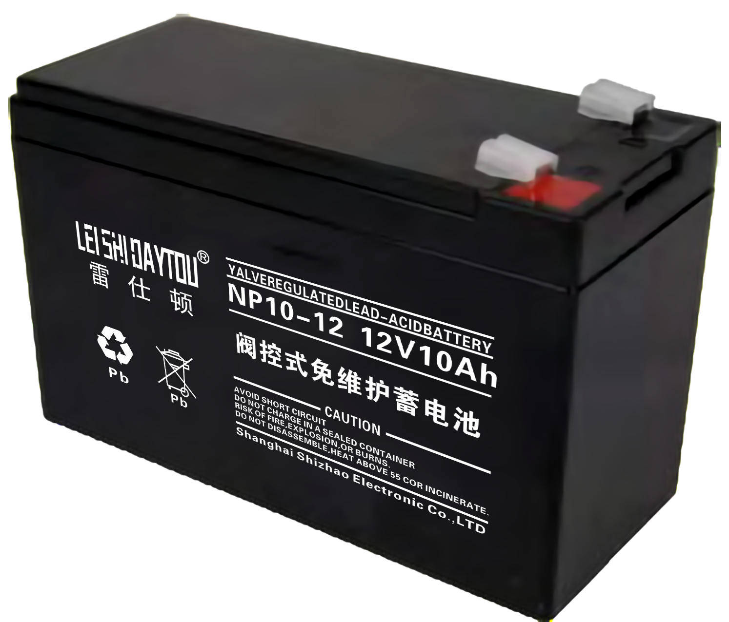 NP10-12 battery