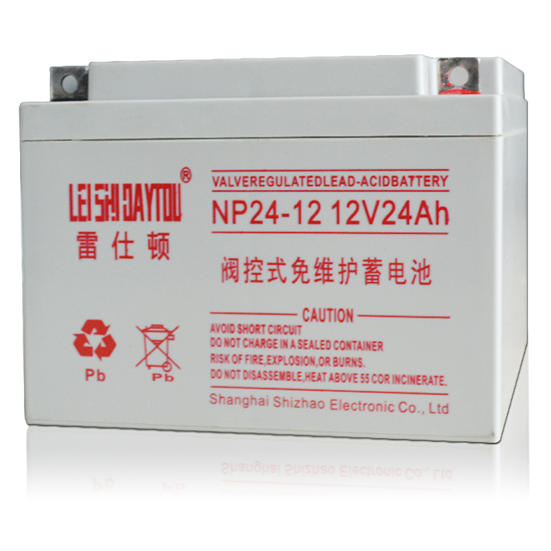 NP24-12 battery
