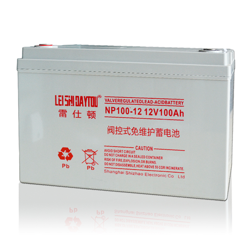 NP100-12 battery