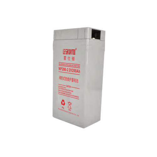 NP2-200 battery