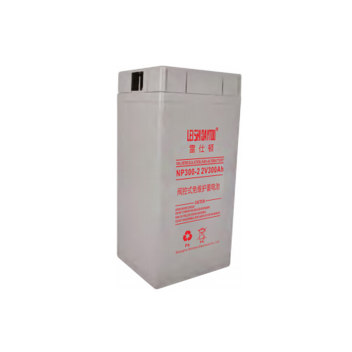NP2-300 battery